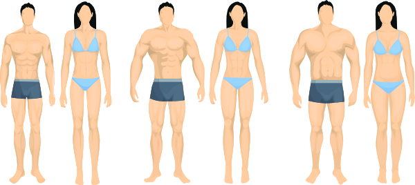 different body types